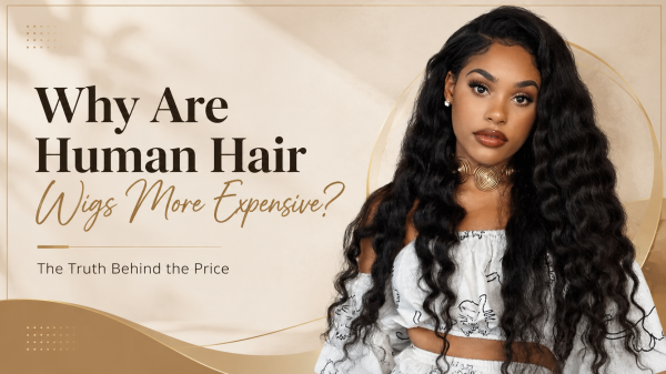 Why Are Human Hair Wigs More Expensive?